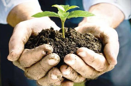 soil-hands.jpg