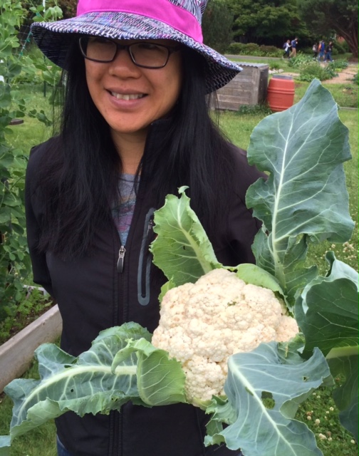 A stellar harvest from the brassica beds - photo courtesy of John Jordan