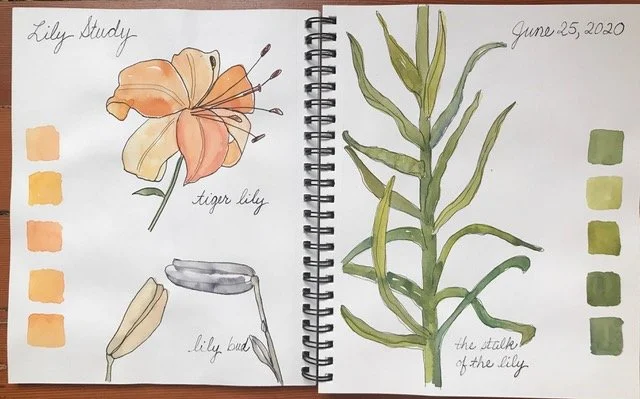 Nature Journaling for Gardeners