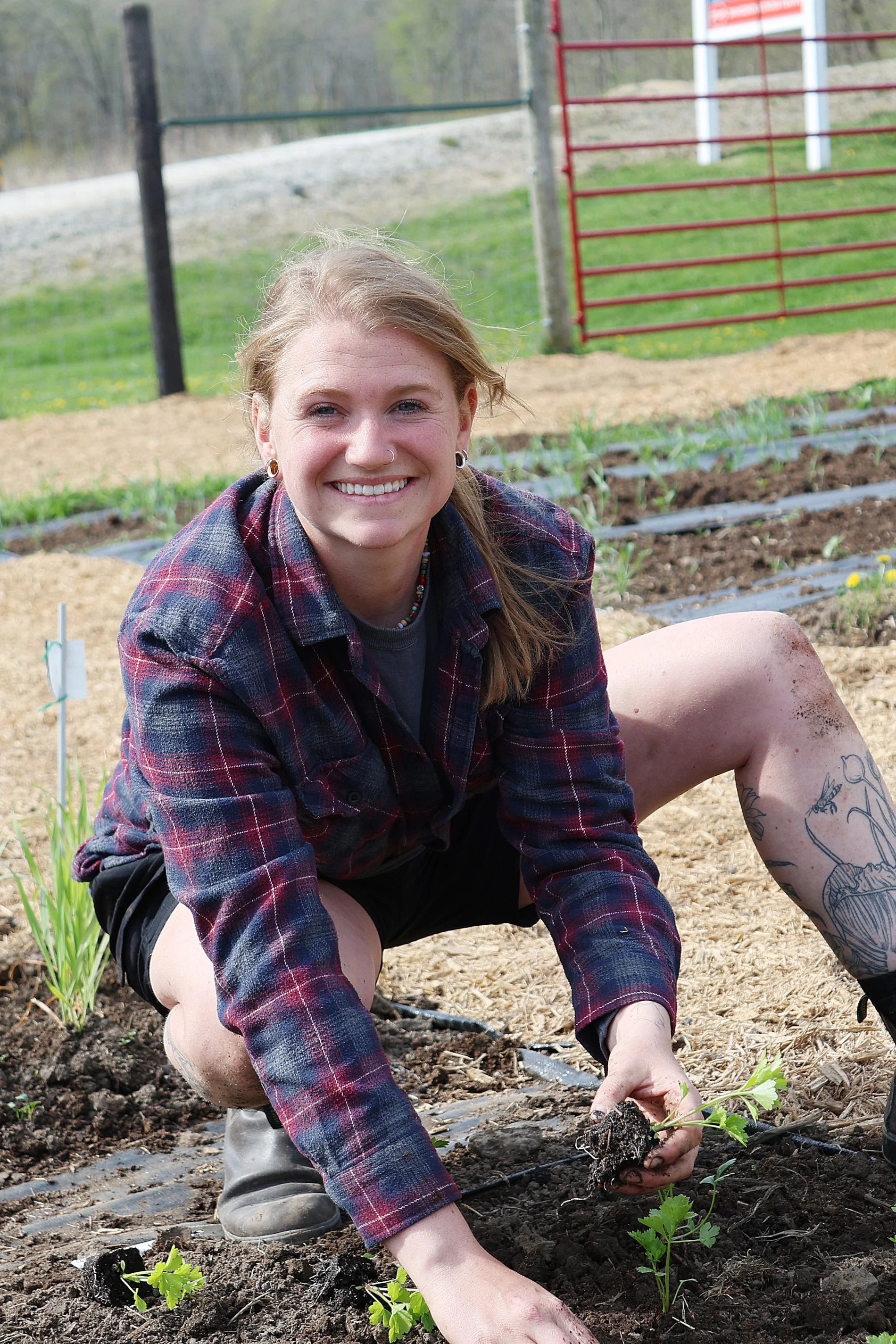 Seed Stewardship in the Garden*