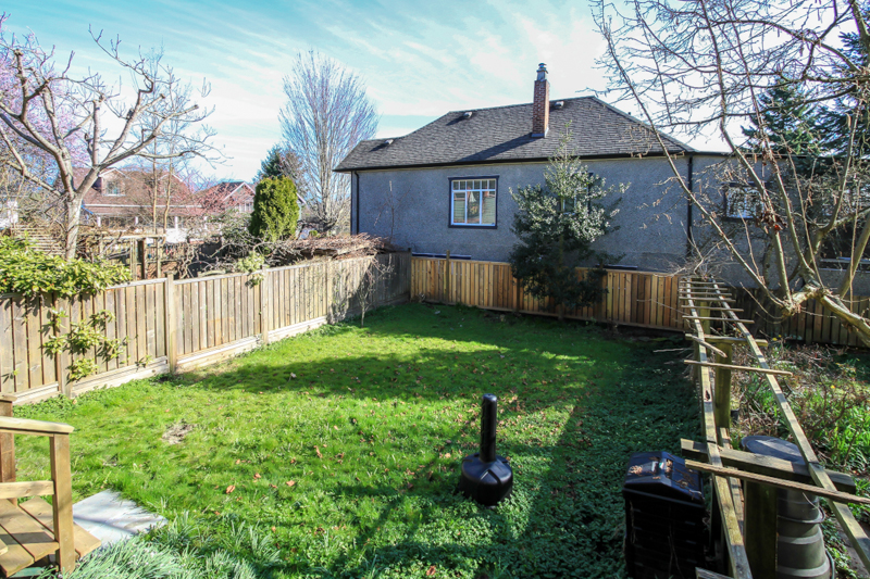 BackYard.jpeg