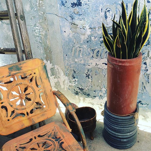 True grit. #texture #grit #colorpalette #vintage #patio #vintagestyle #inspiration #washedout #indigo #terracotta #plants