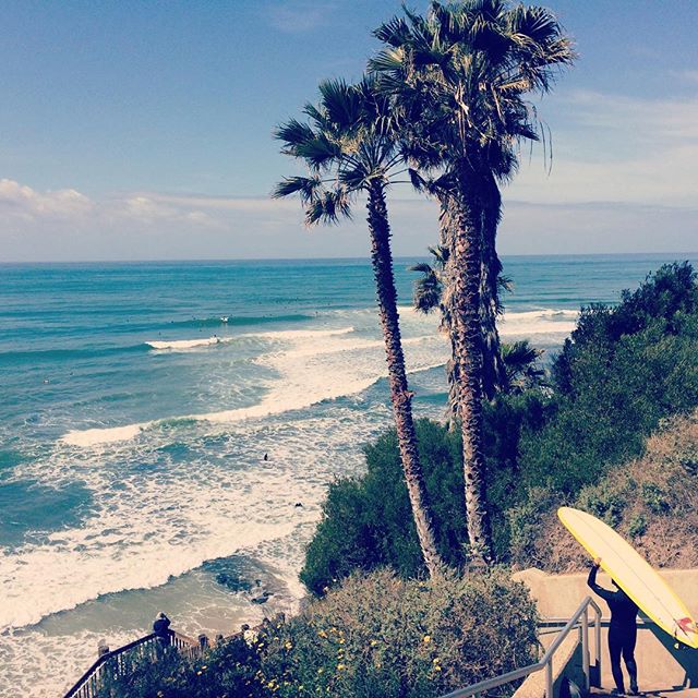 Surfs up//Mid-week cure
 #humpday #cure #surfsup #surf #encinitas #sandiego #swamis #longboard