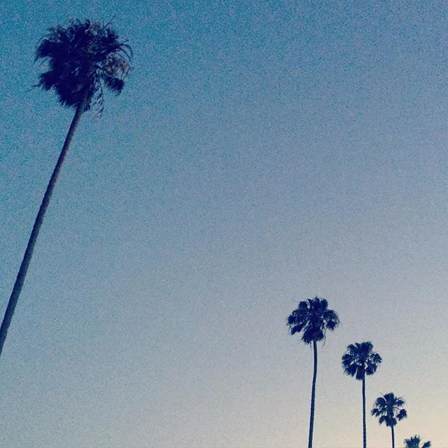 S U M M E R ❤️
#summerlove #calove #home #palmtrees #magichour #nevergetsold #venice #venicebeach #la #ca