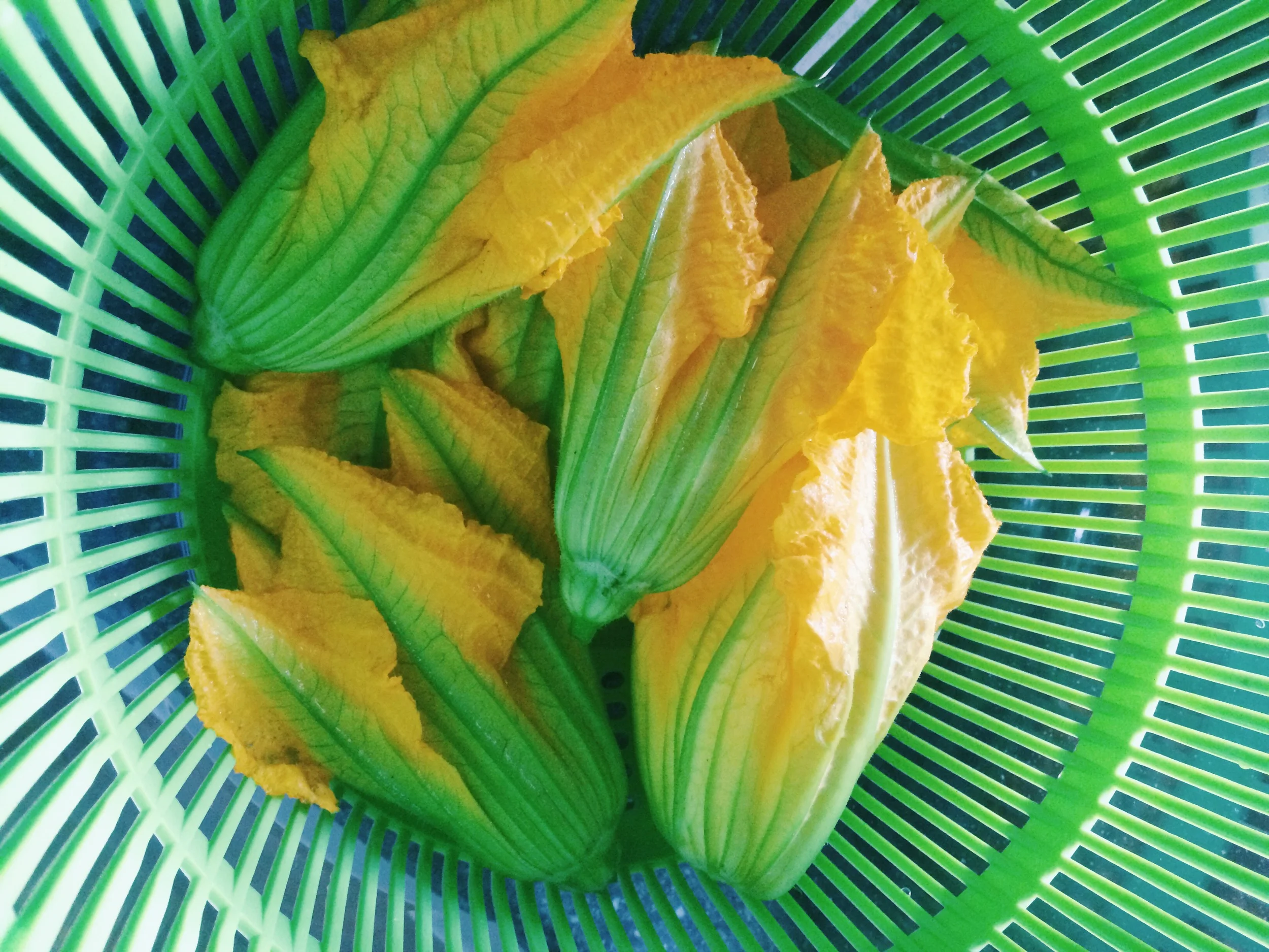 Fried Zucchini Blossoms (Whole30)