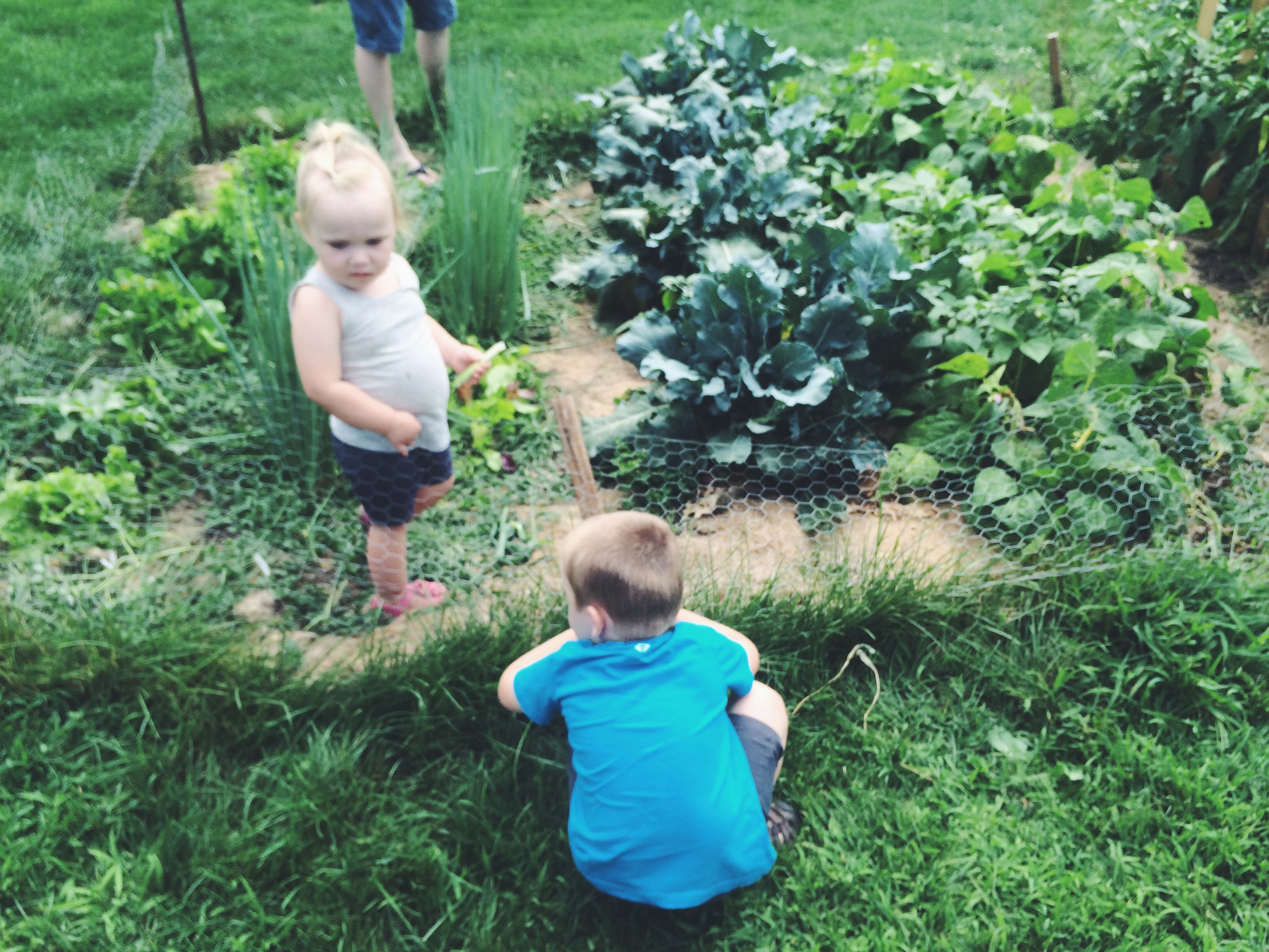 Garden Helpers