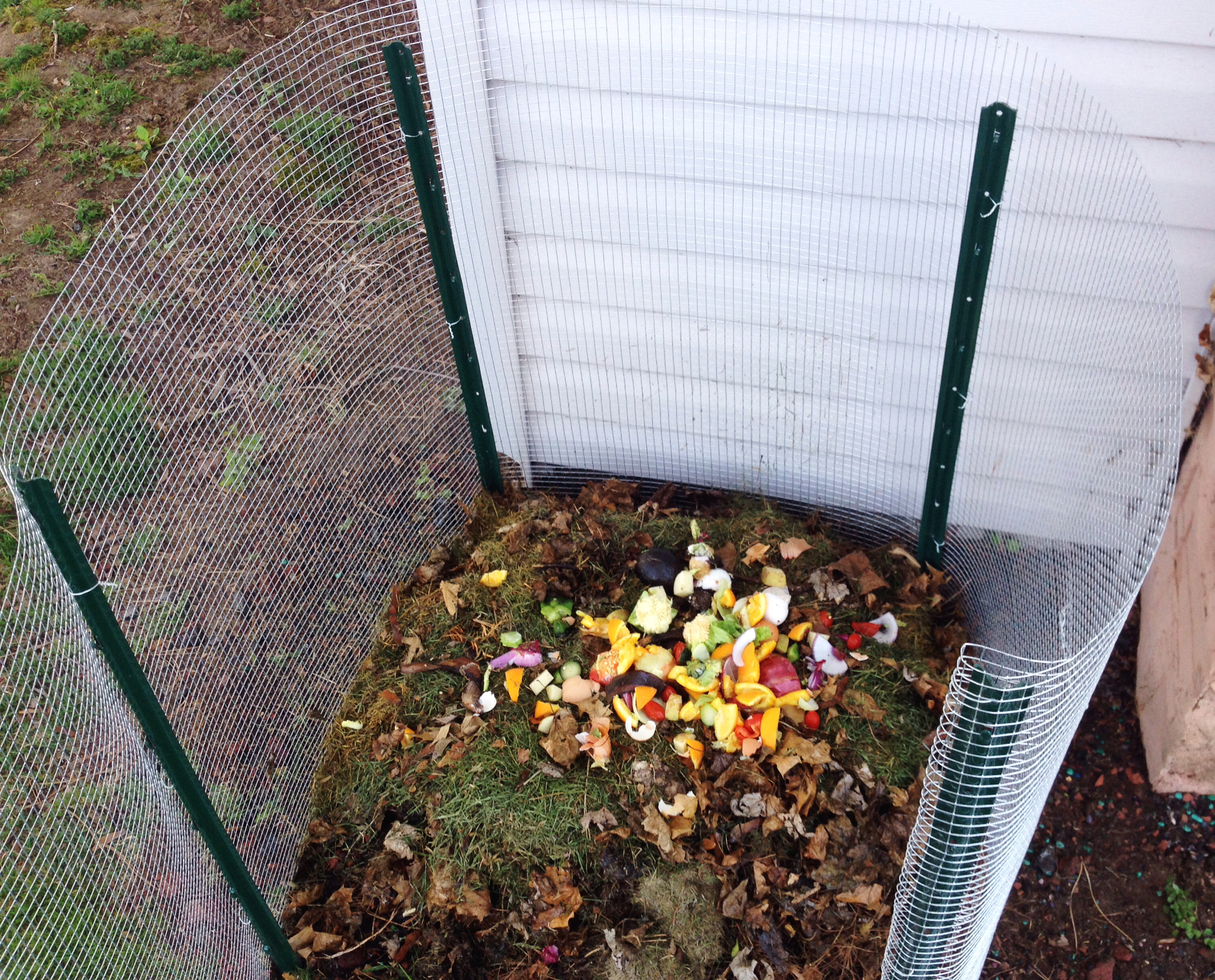 compostbin.jpg