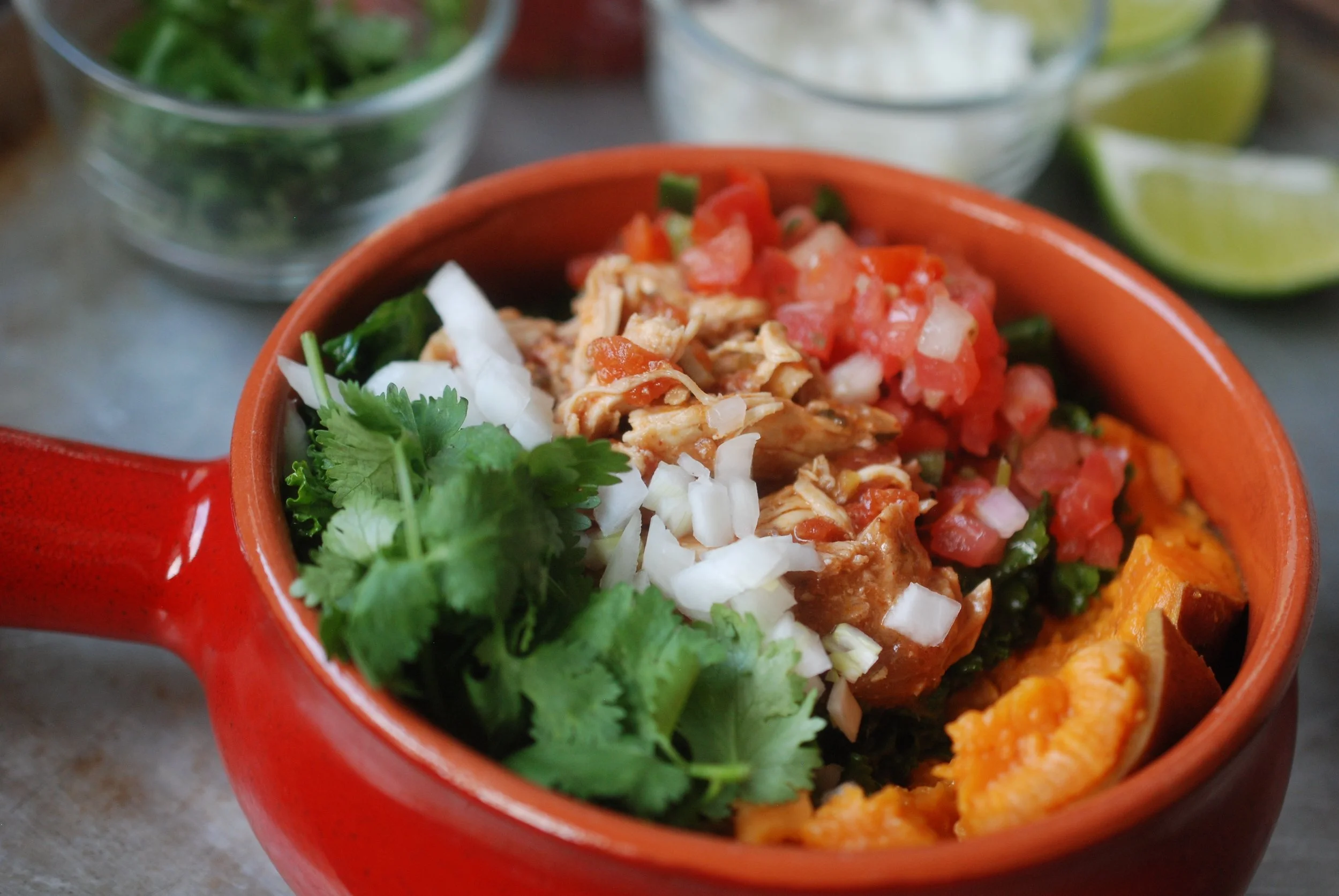 Salsa Chicken_Bowl.jpg
