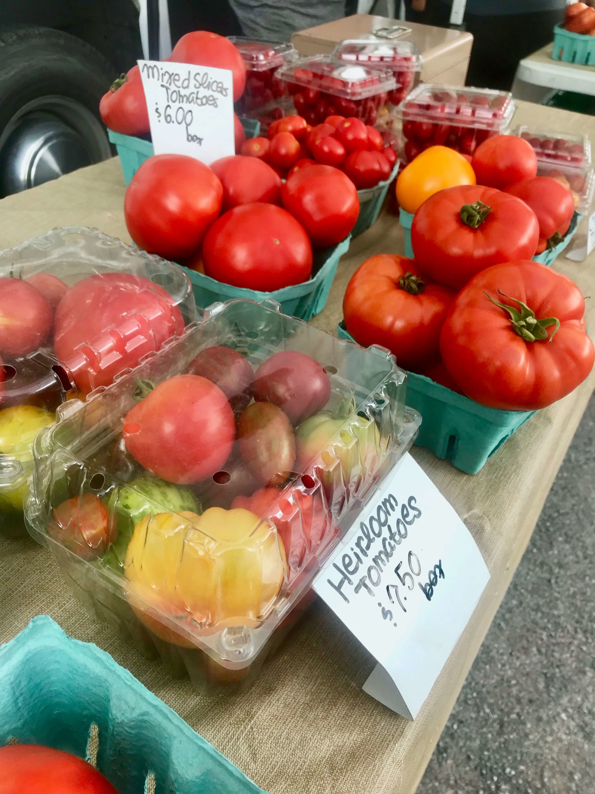 Cramer Farm_tomatoes.jpeg
