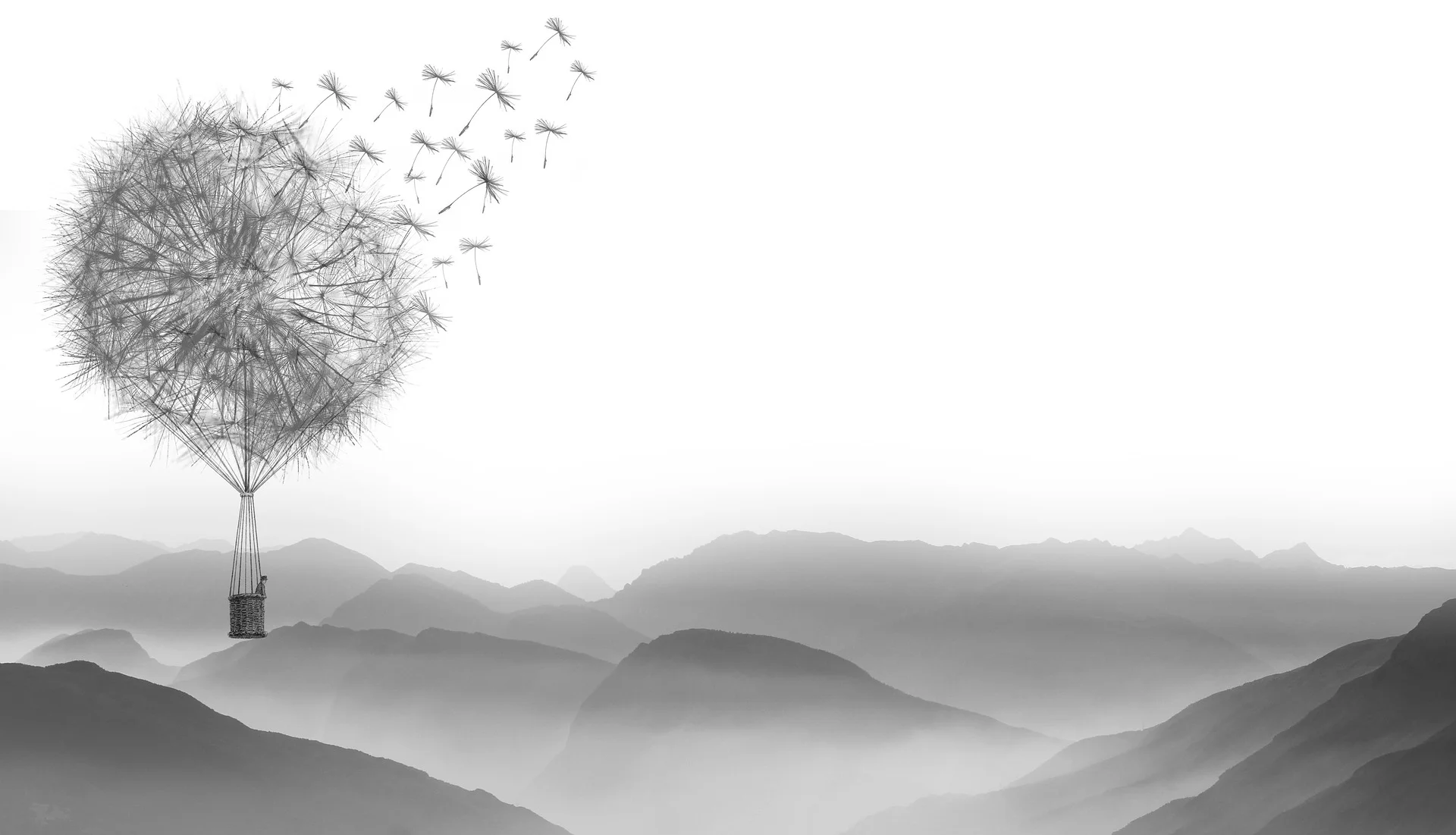 dandelion-1622100_1920.jpg