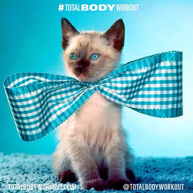 😺 Guess who's ready for #Monday ?! 😽
#TOTALBODYWORKOUT