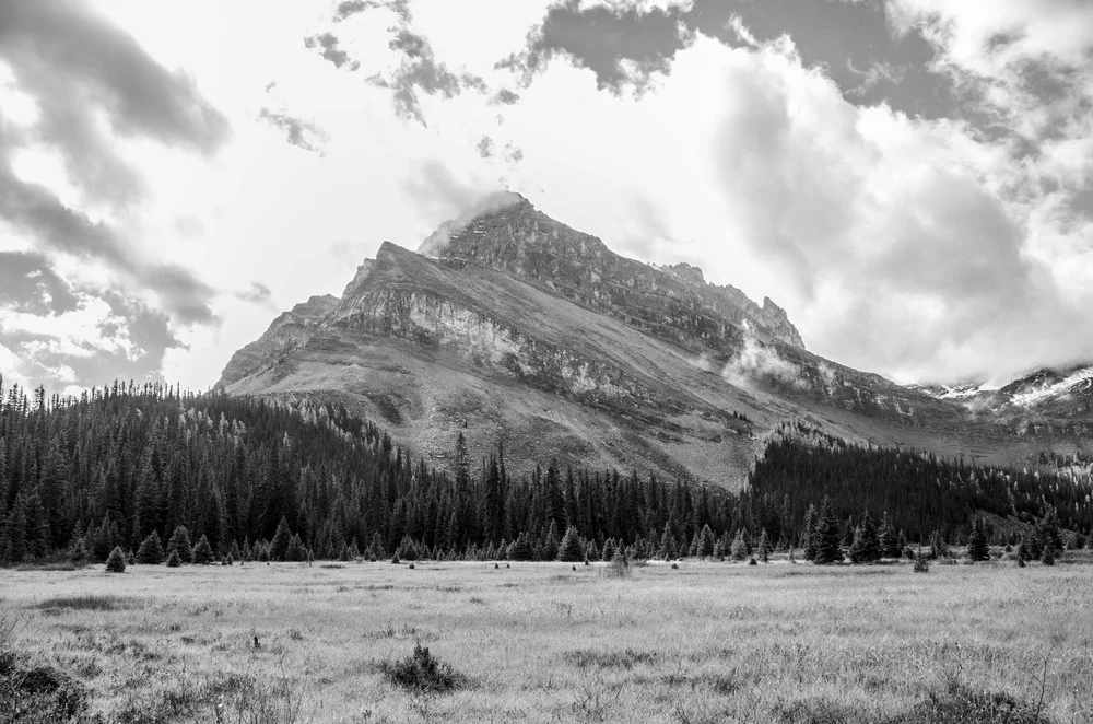 _DSC8693.jpg