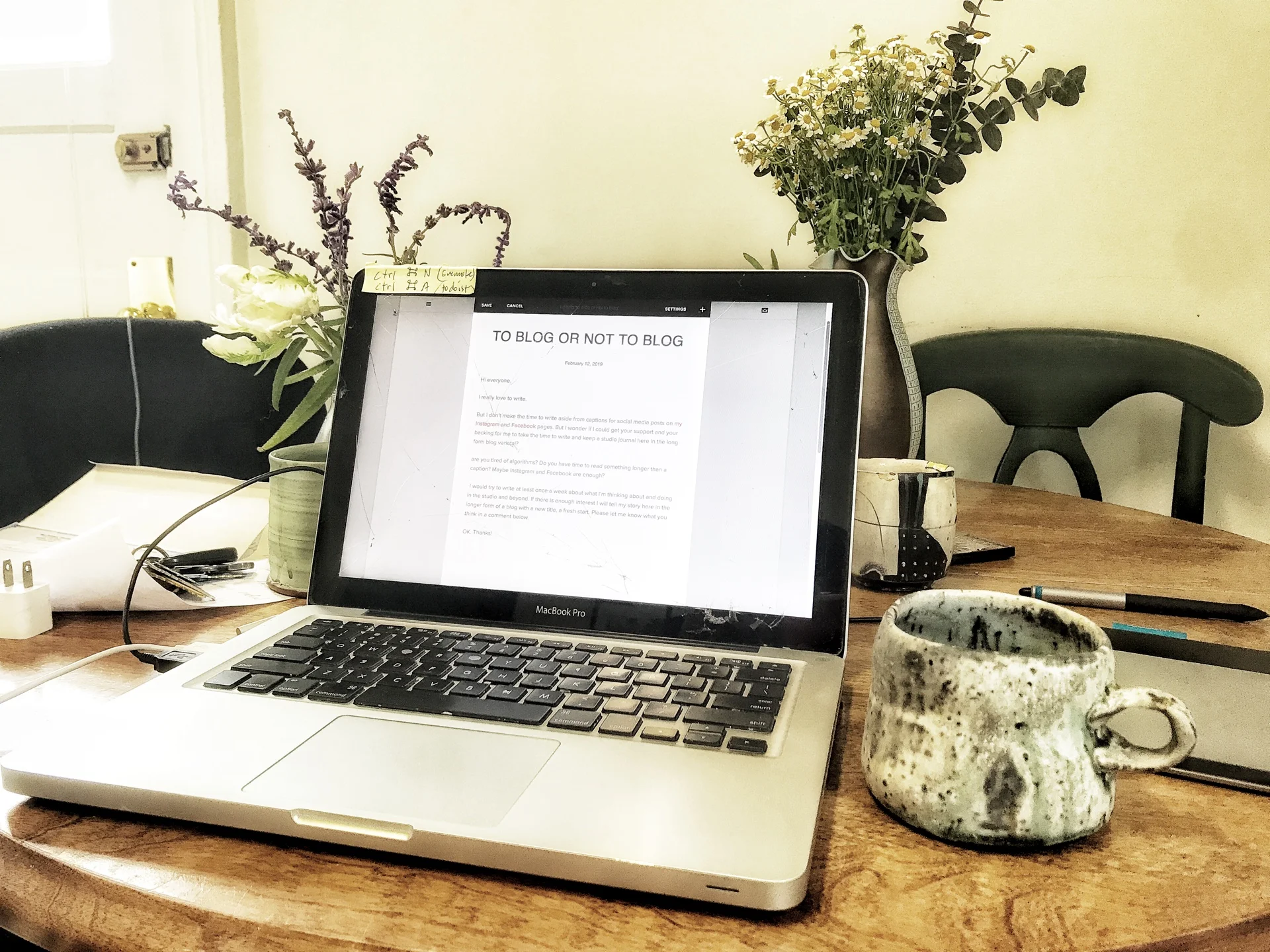 blogging in Petaluma with a Perry Haas mug