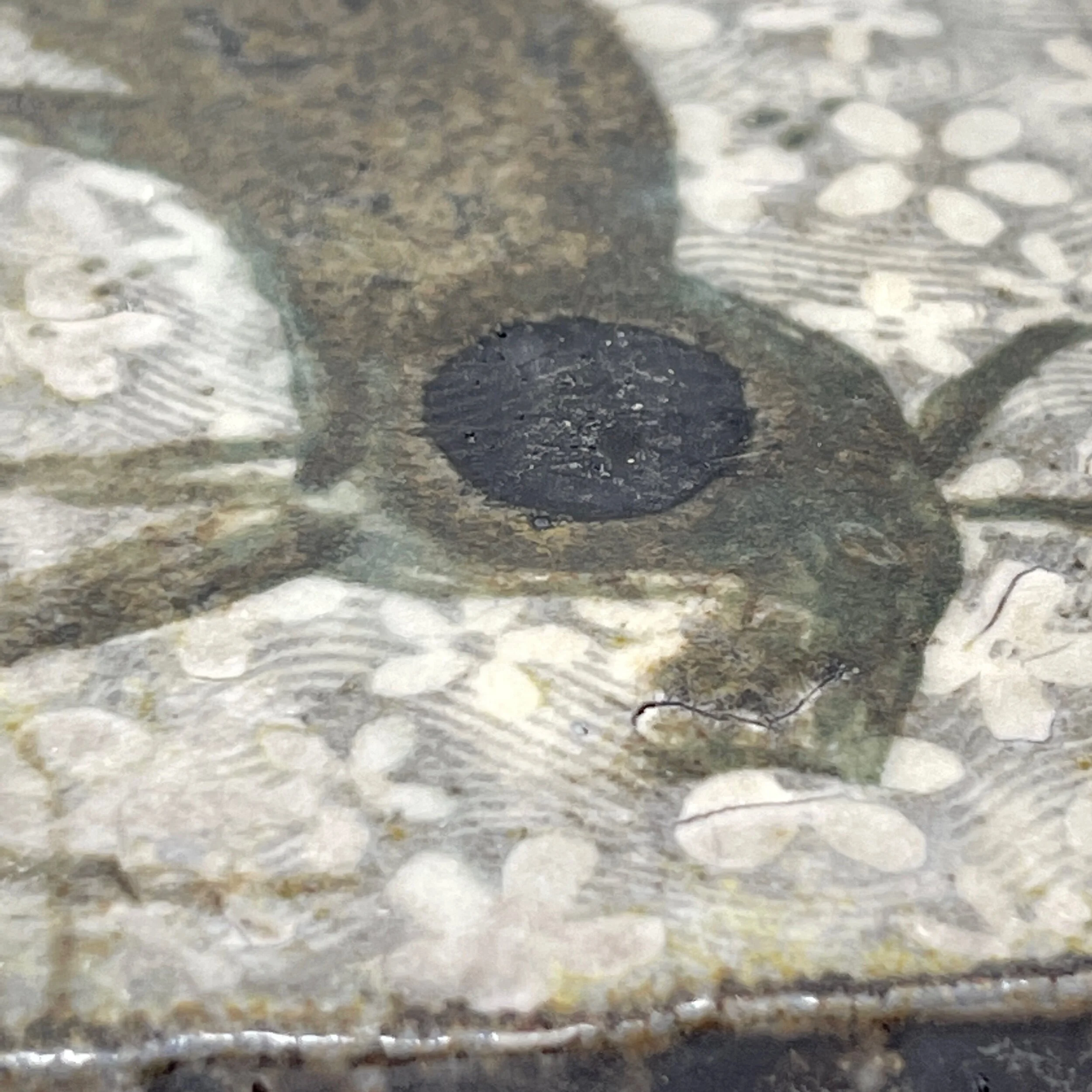 1D256F06-DA8C-4346-A1A2-1301F1561EC9