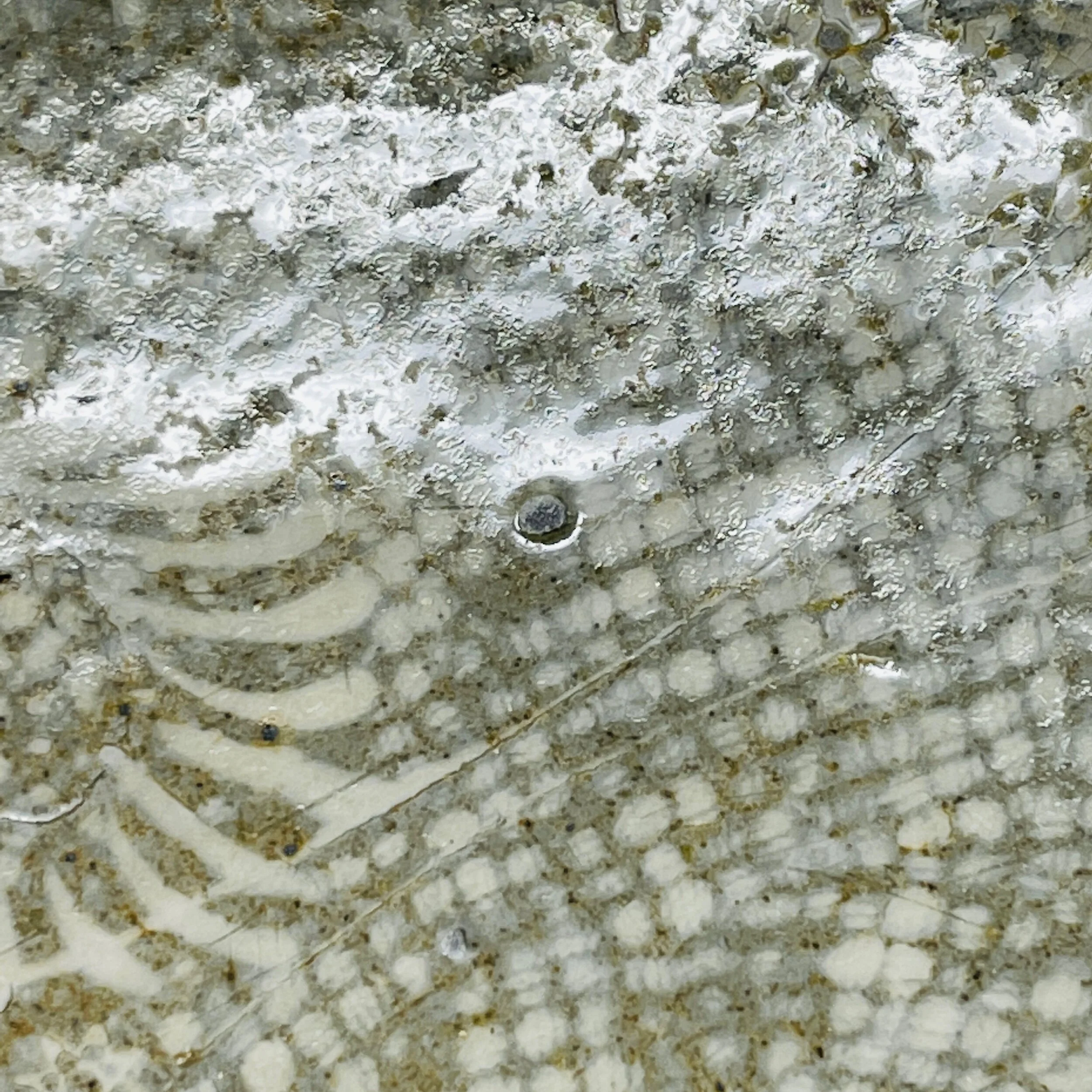 4F95E818-AFEC-48E7-85A1-C737BB2D1036