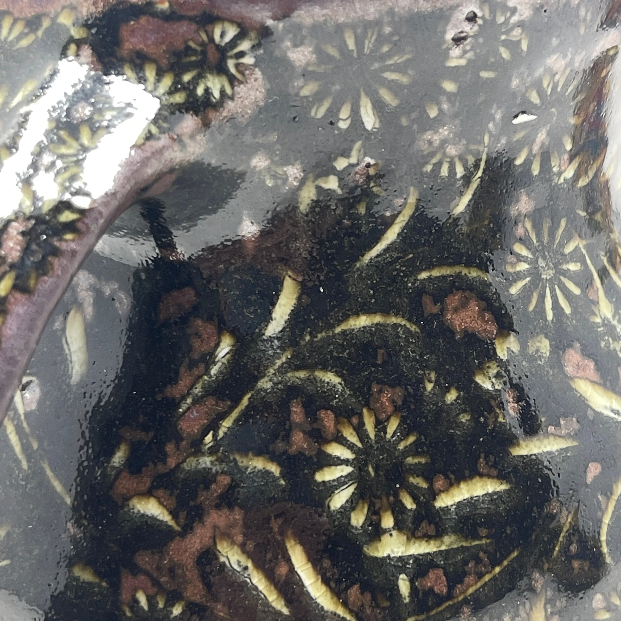 00445B46-E3D4-4C4B-8008-FDC41CD15D9C