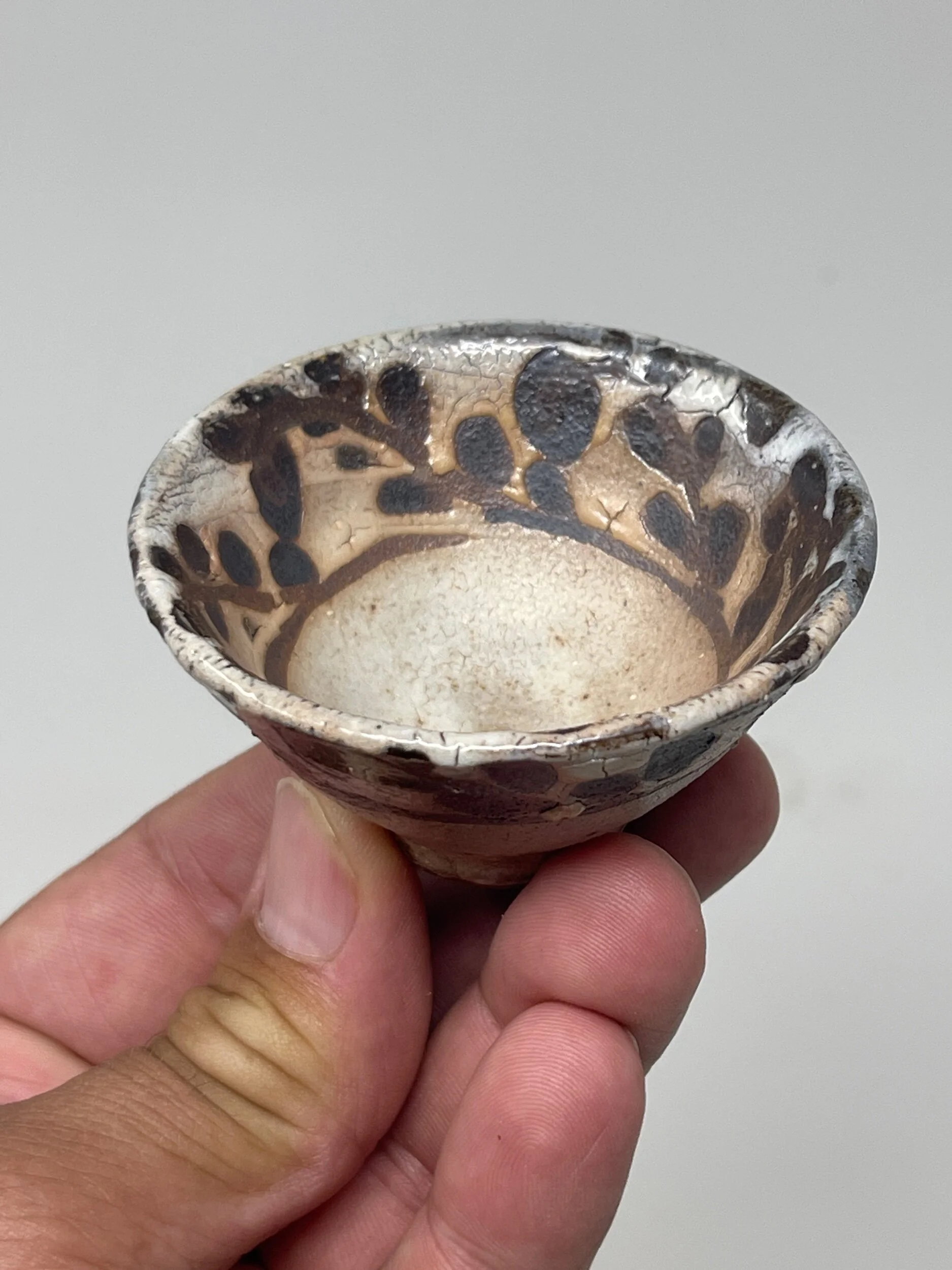 72A750FA-CAB9-403F-8E69-AECAE61BF9BD