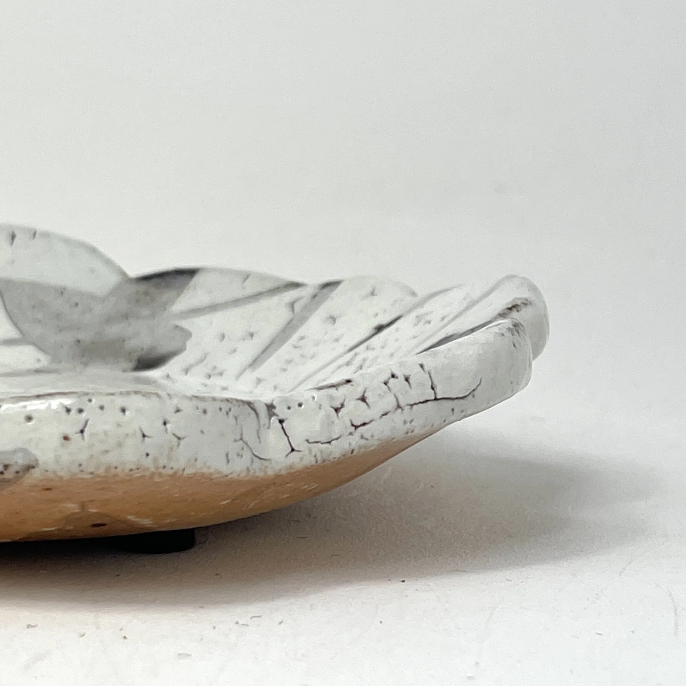 2607F585-D79A-4F50-AECC-53258B13D71B