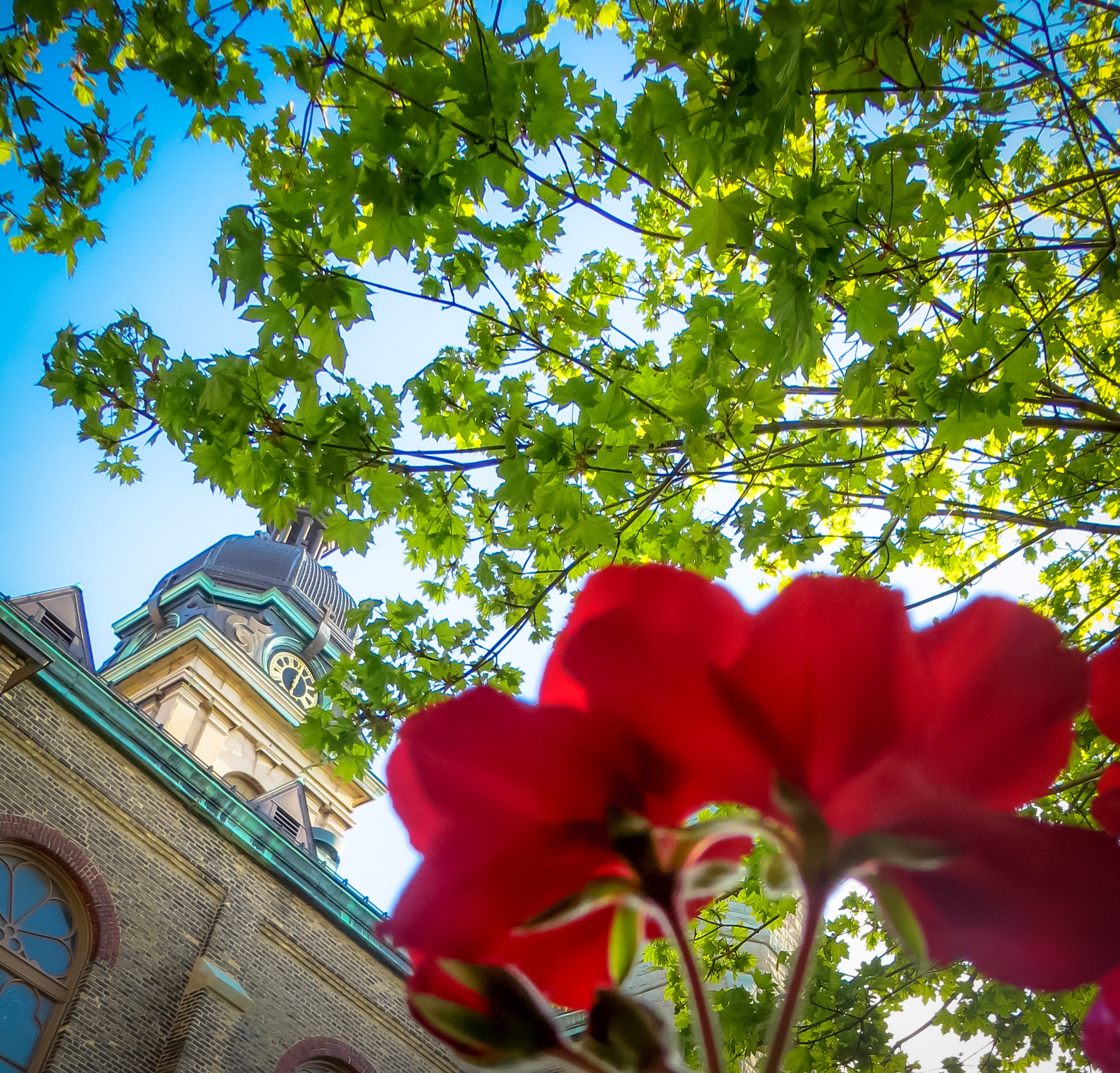 15-osm.Nathalie-Corbett-A Blossoming Church -3283.jpg