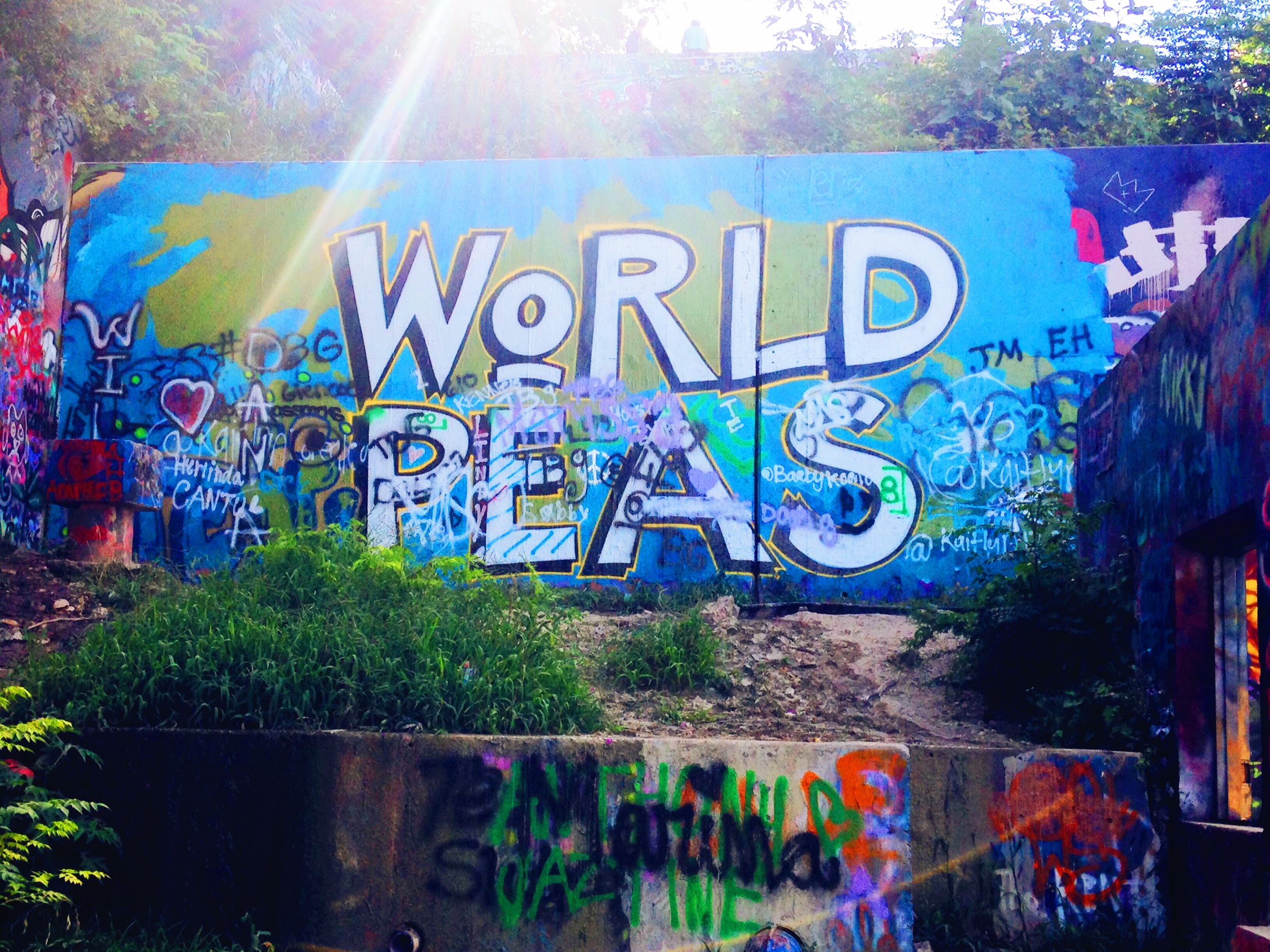Peace or Peas.JPG