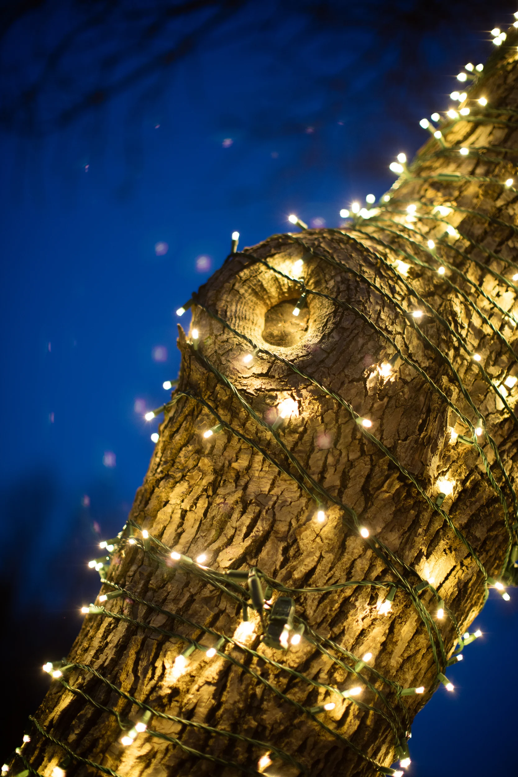 lights.jpg