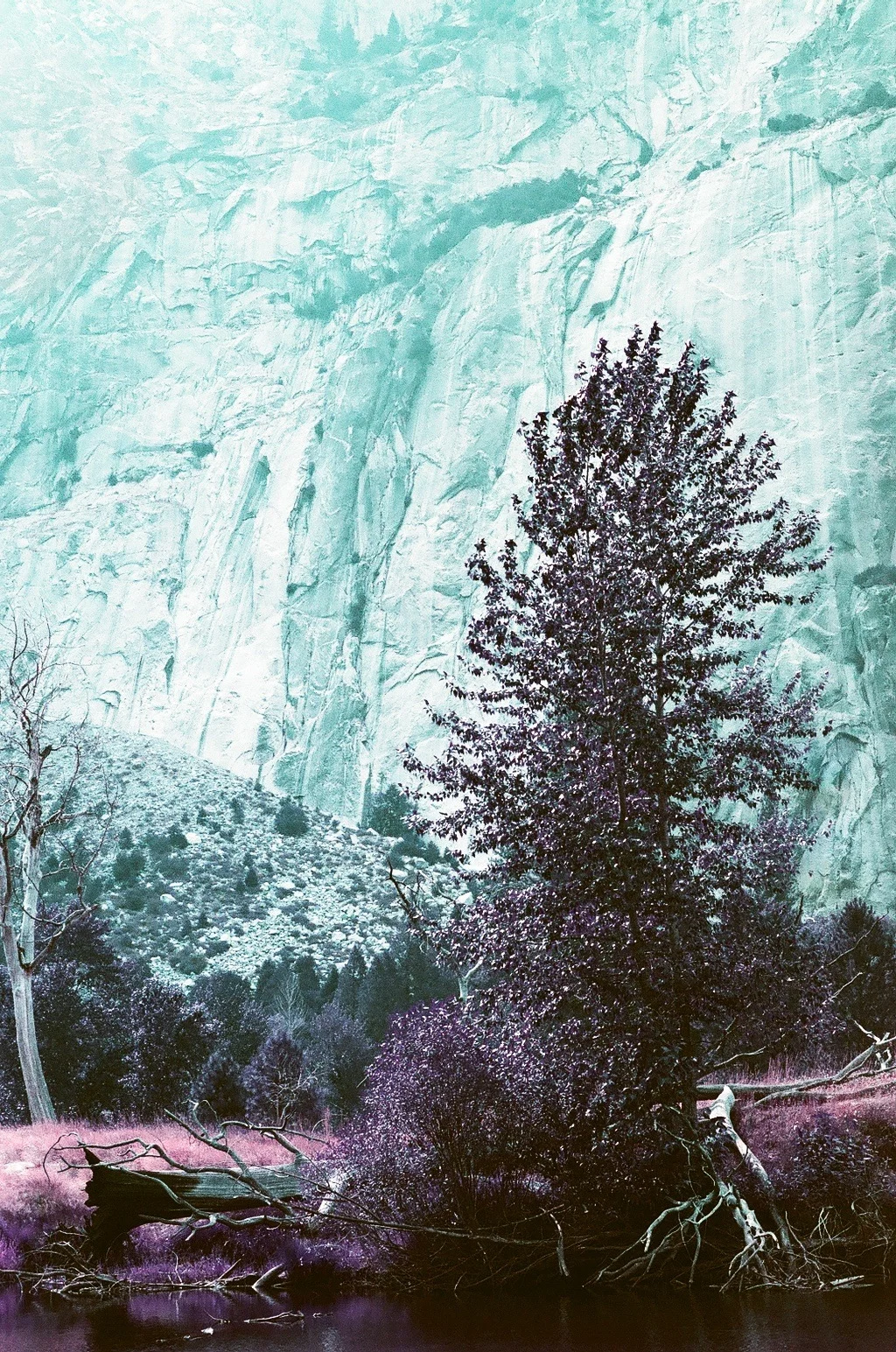 03410028.jpg