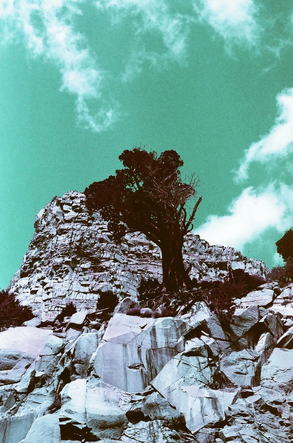 03410038.jpg