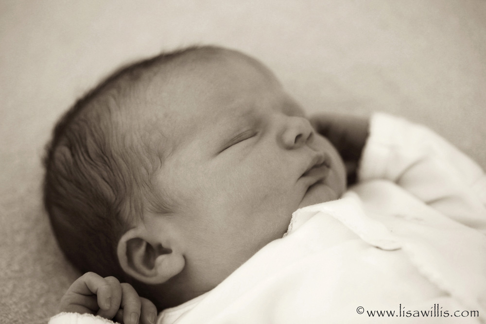 newborn-portrait.jpg