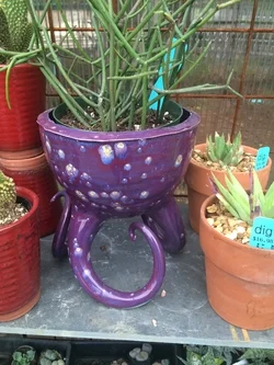 Squid-like planter