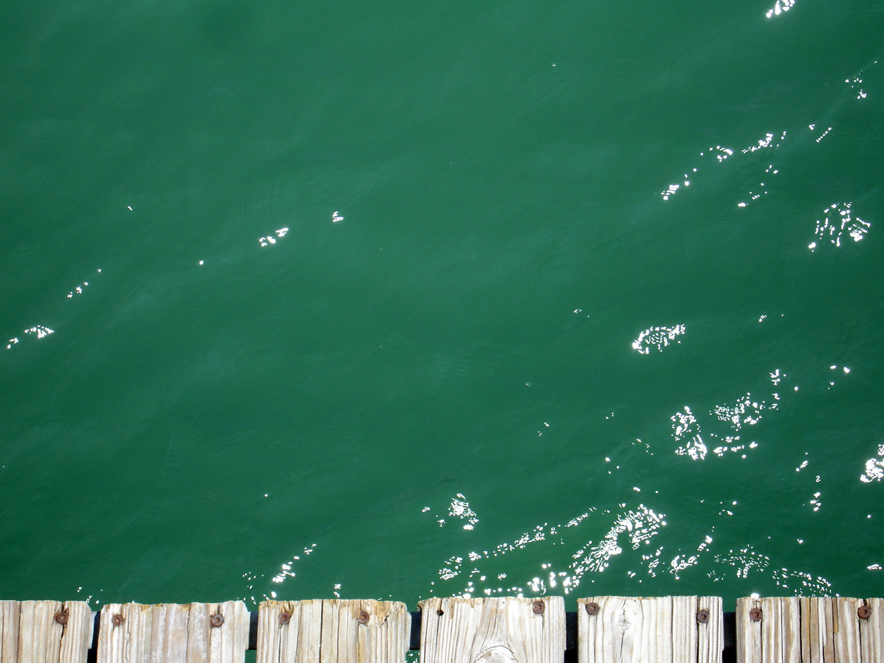 Green Water