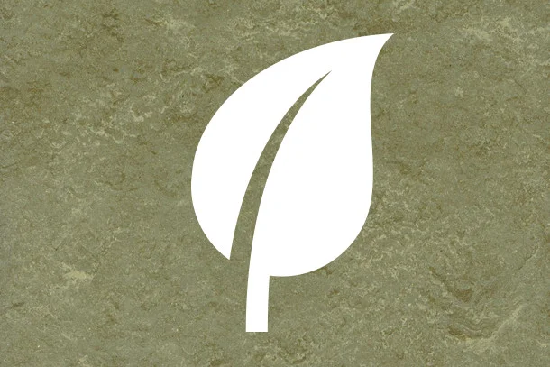 healthy linoleum.jpg