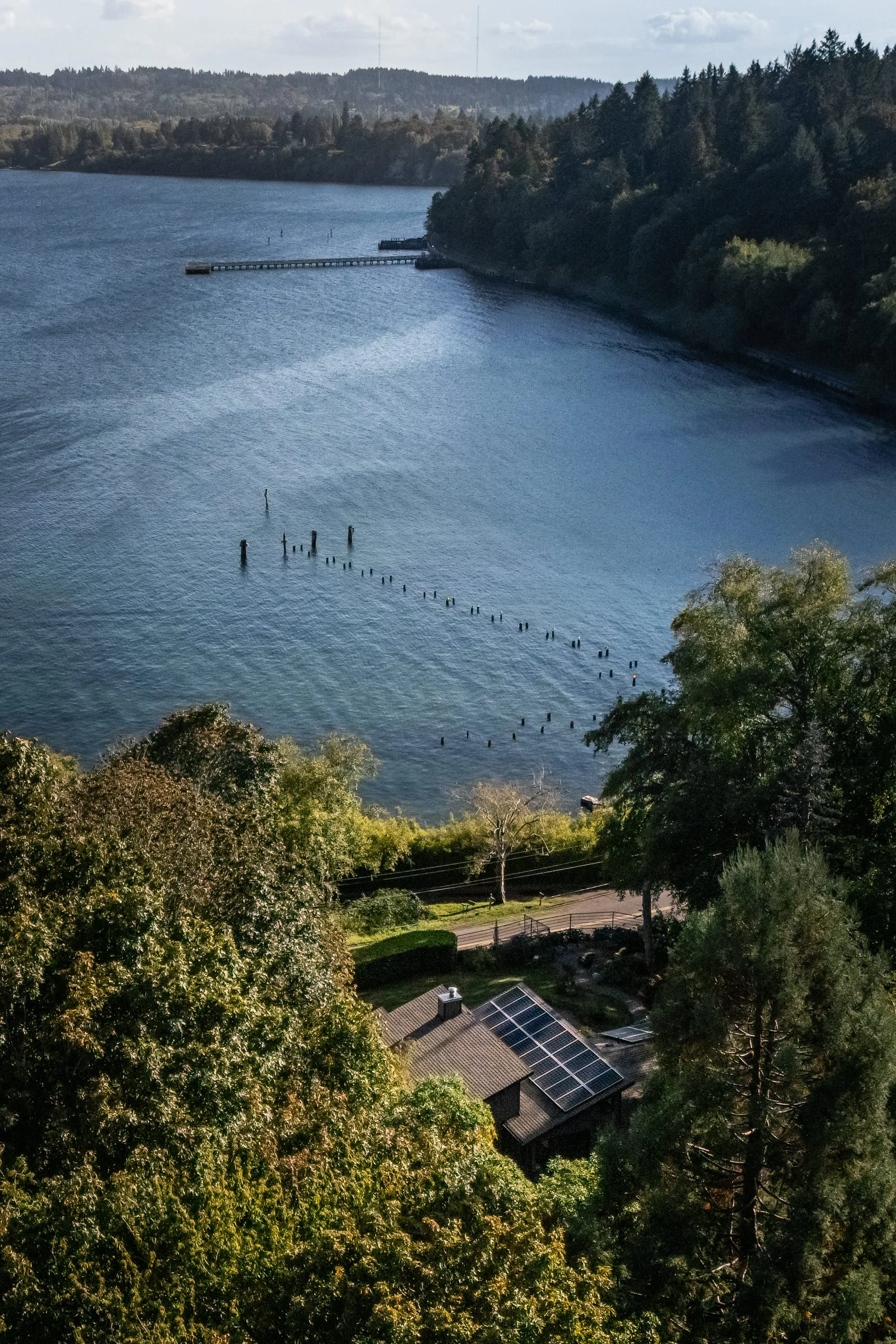 Aerial view of a house with solar panels surrounded by trees near a large body of water with a shoreline and remnants of old posts in the water.