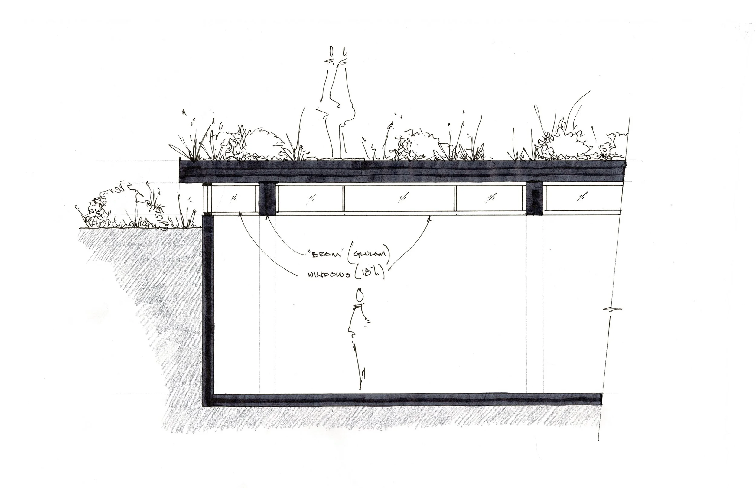 24_0725 Concept Section.jpg