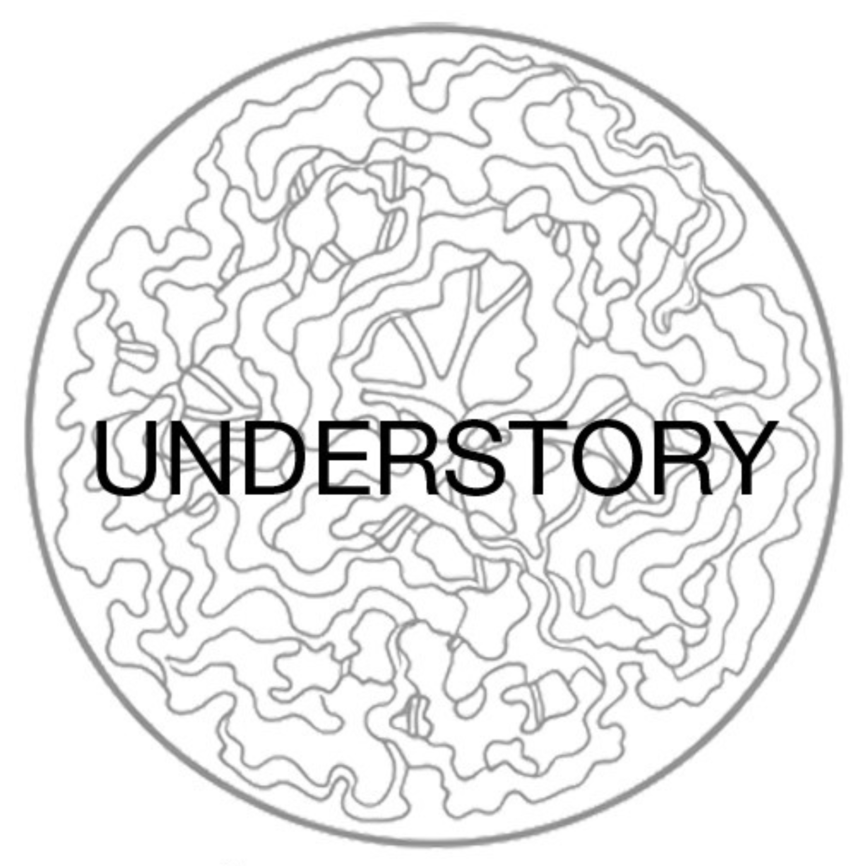 Line drawing of a human brain with the word 'UNDERSTORY' overlaid in black text.