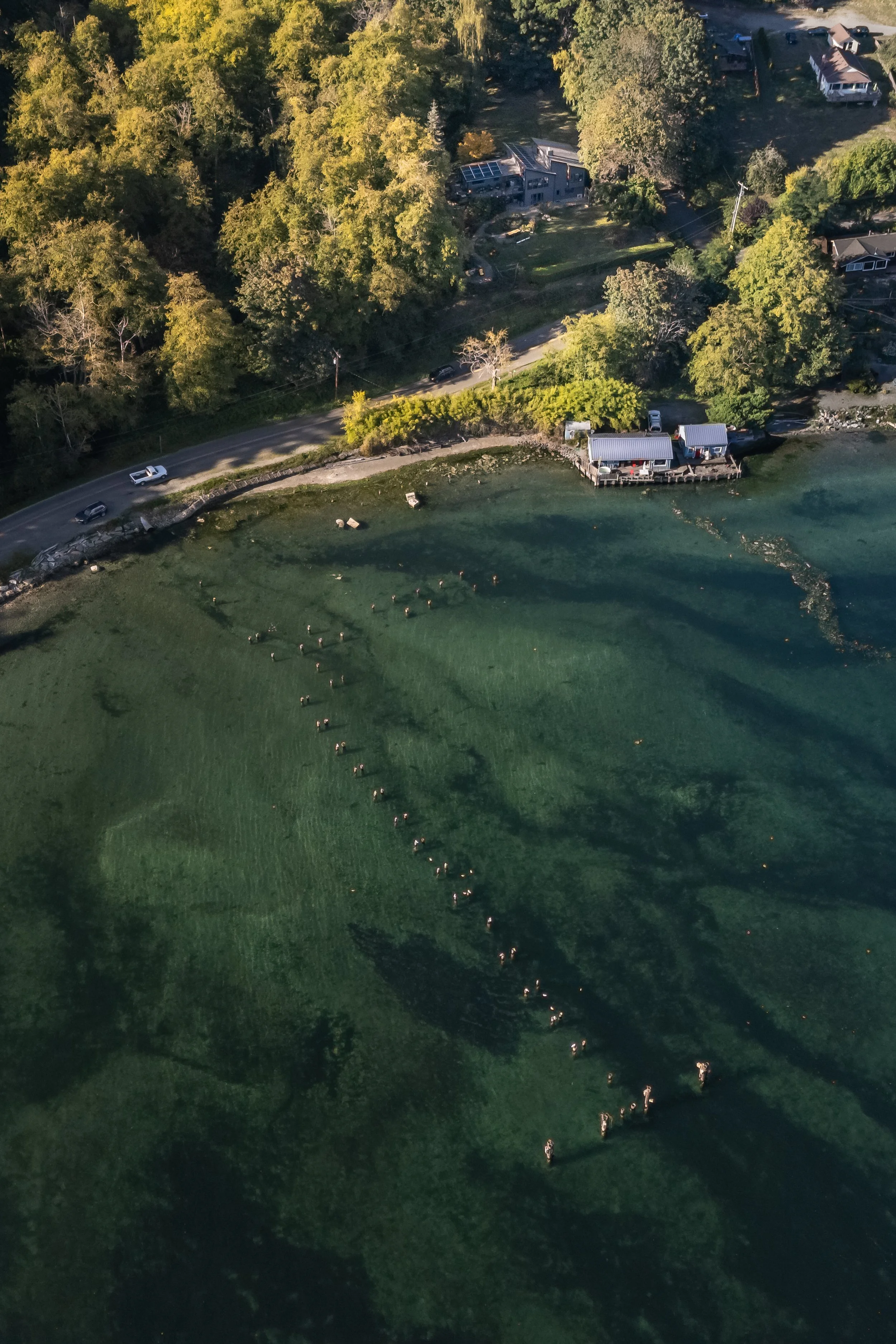 Miranda-Estes-Photography-Waldron Designs-Vashon Addition-21.jpg