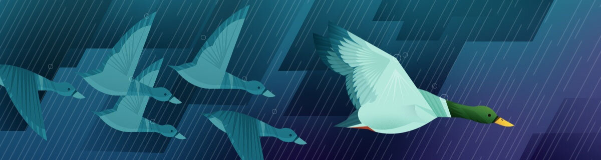 birds-formation-blue-background.jpg