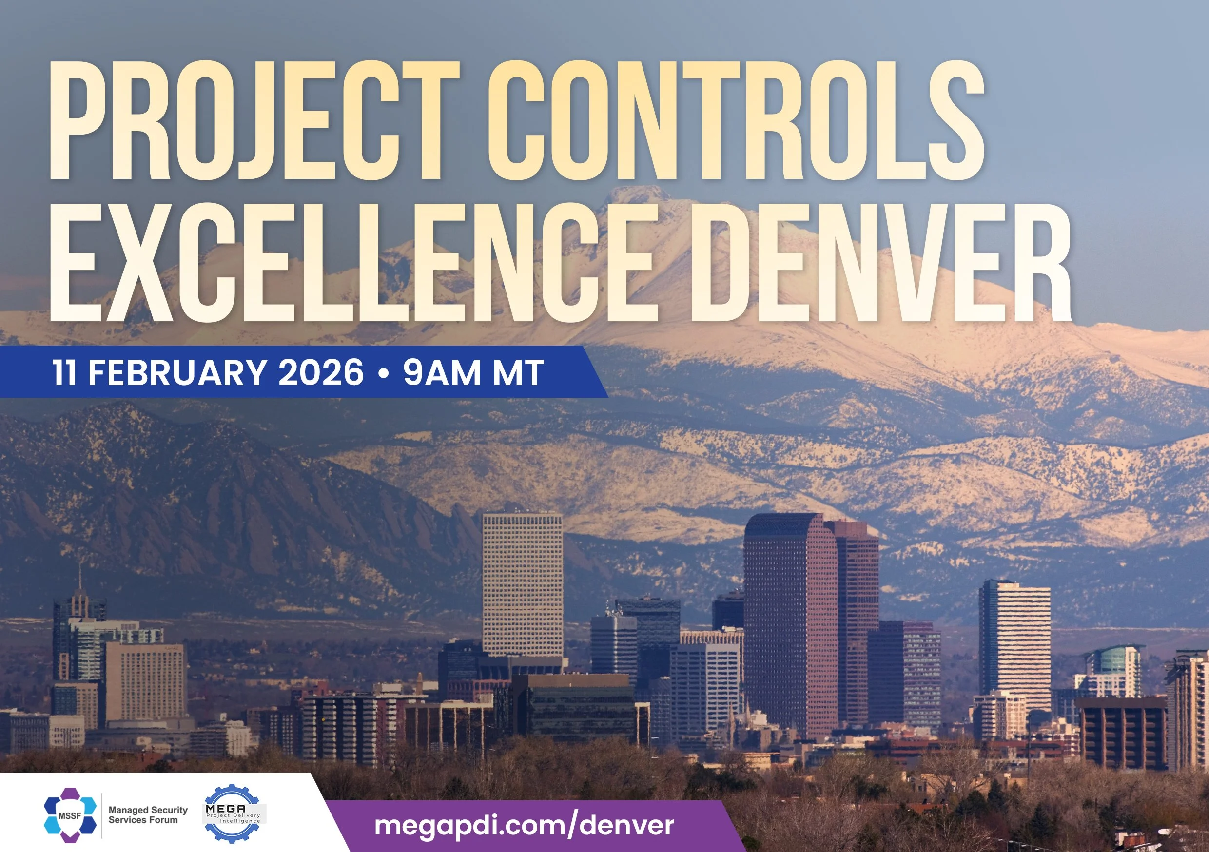 Project Controls Excellence Denver