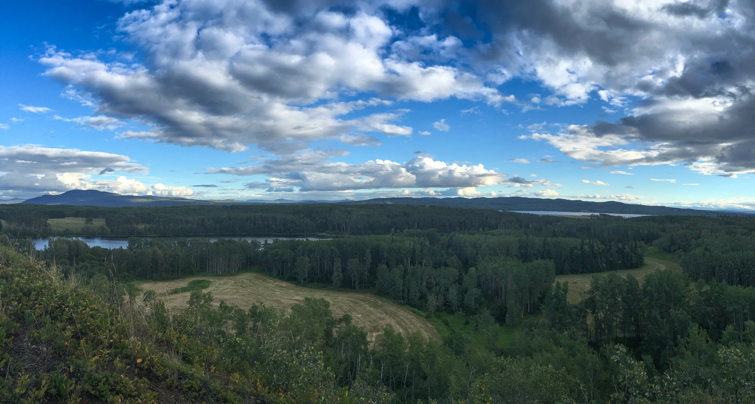 Landscape around Burns Lake