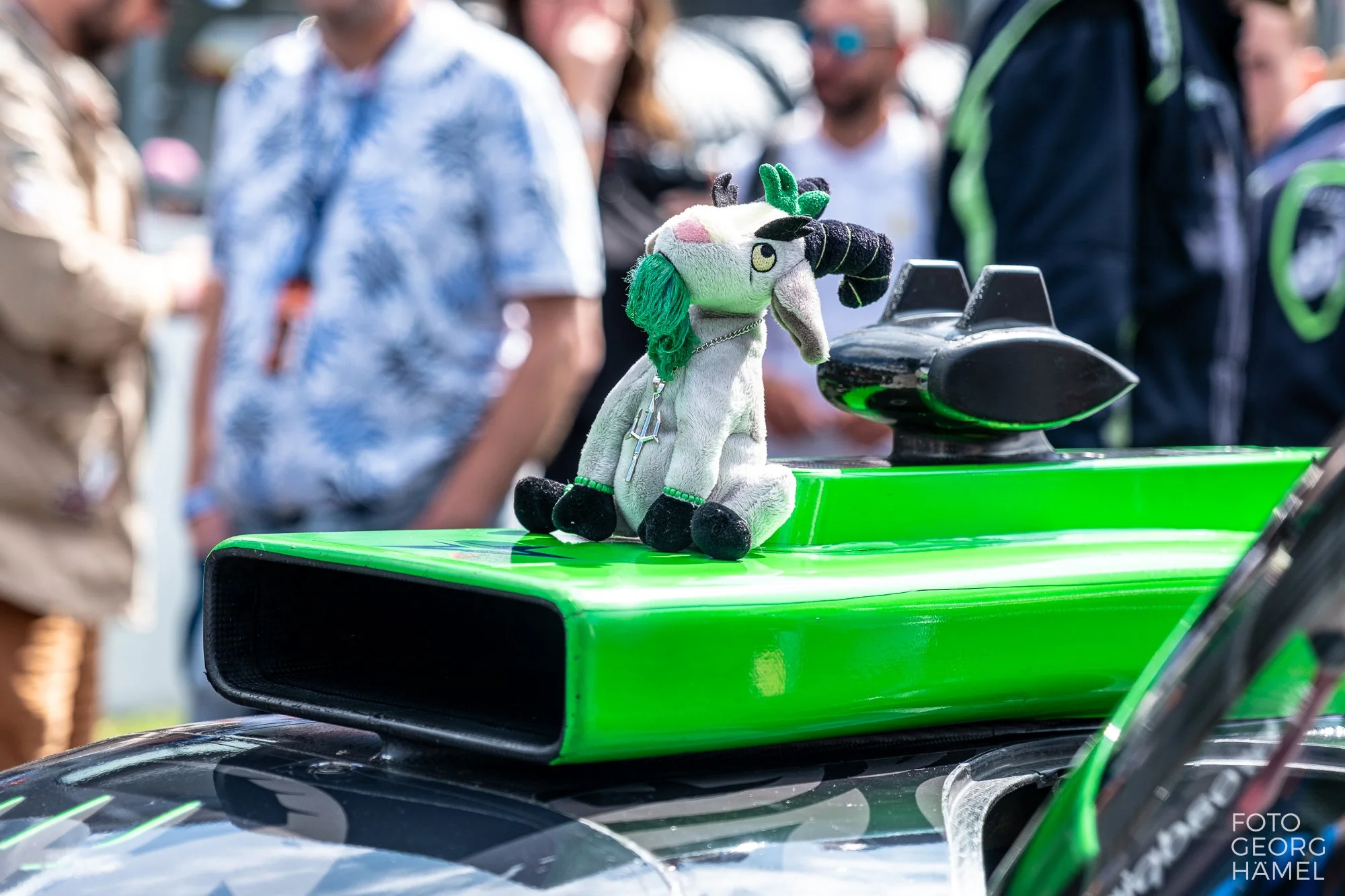 elms_spa_26-55.jpg