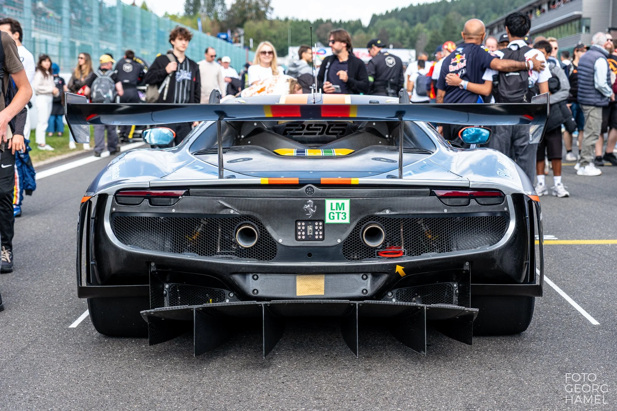elms_spa_26-77.jpg