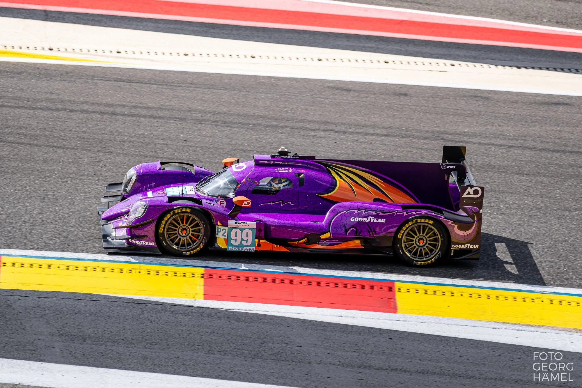 elms_spa_26-156.jpg