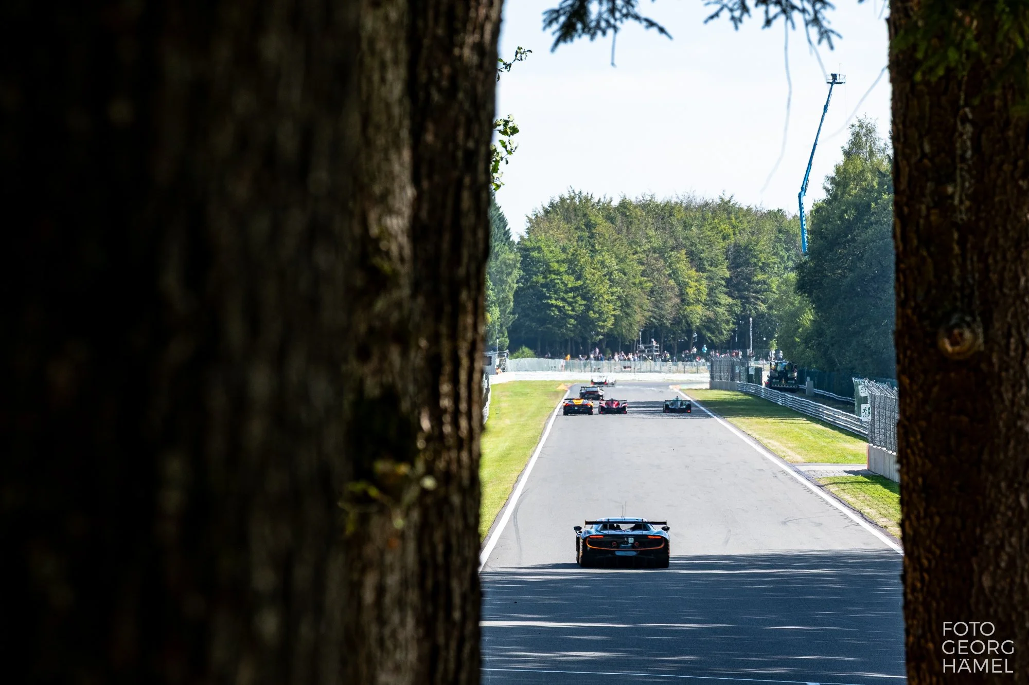 elms_spa_26-287.jpg