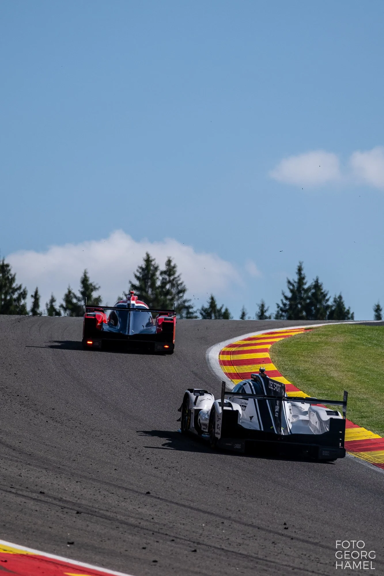 elms_spa_26-295.jpg