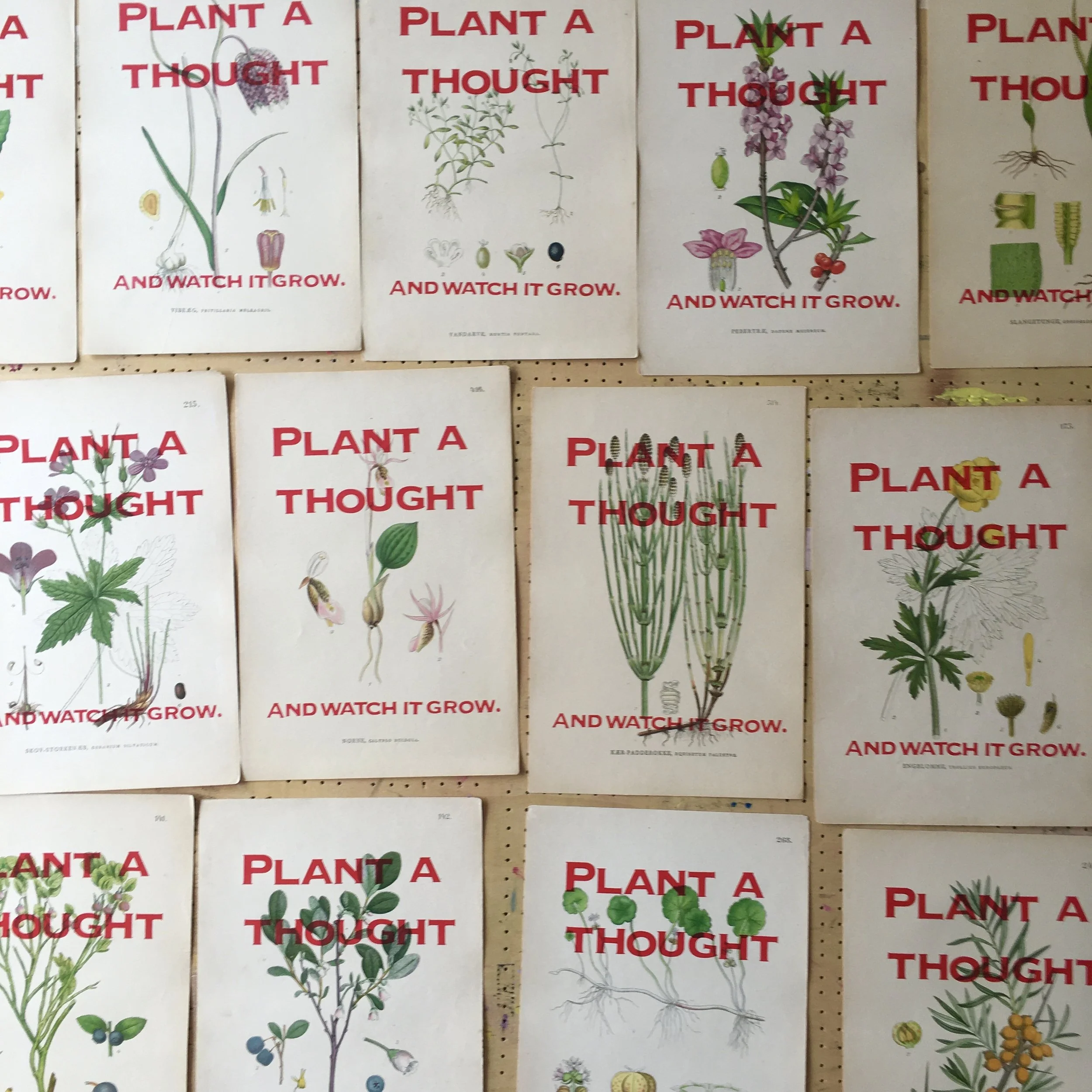 Plant a thought and watch it grow