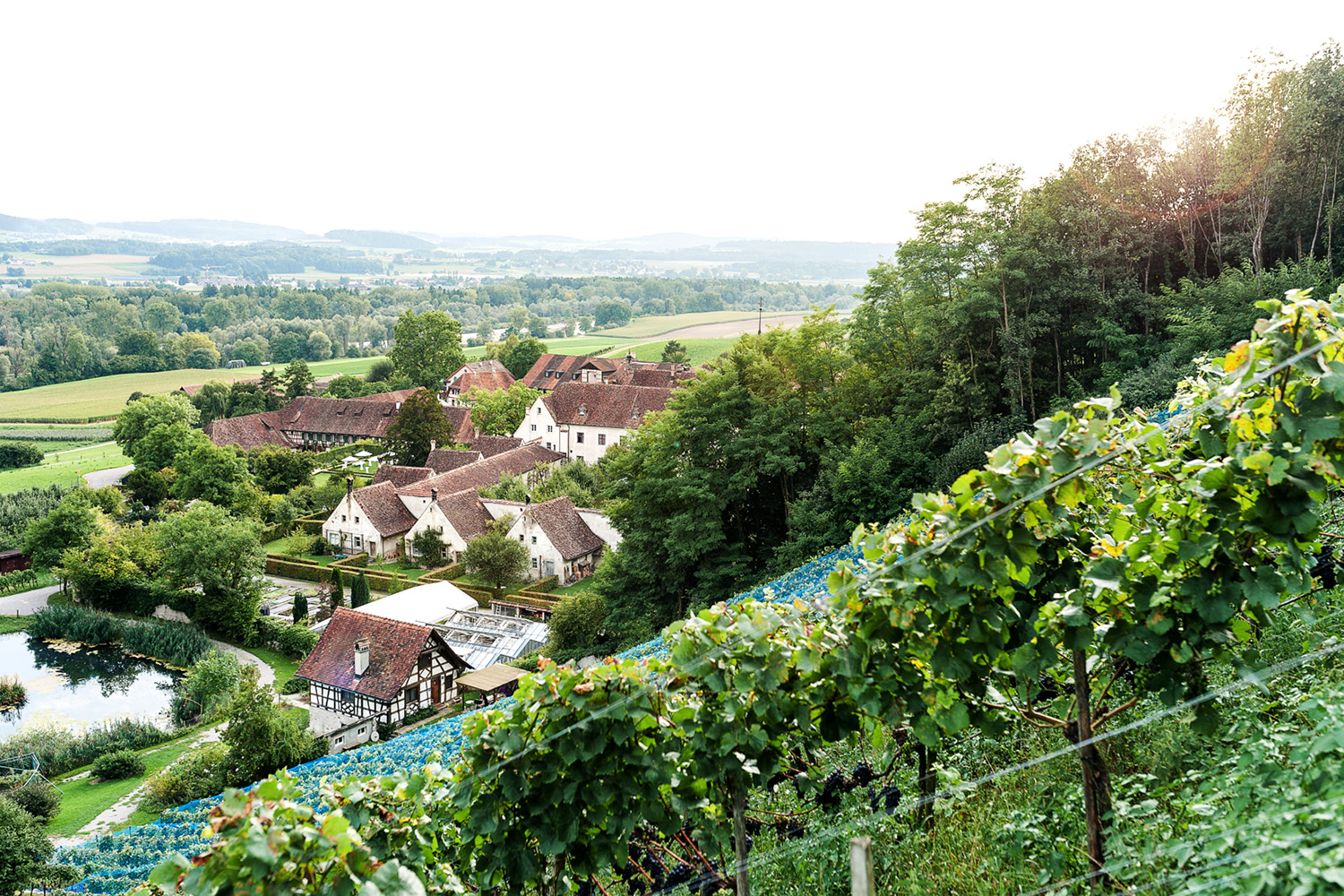 10 Hochzeit Kartause Ittingen.jpg