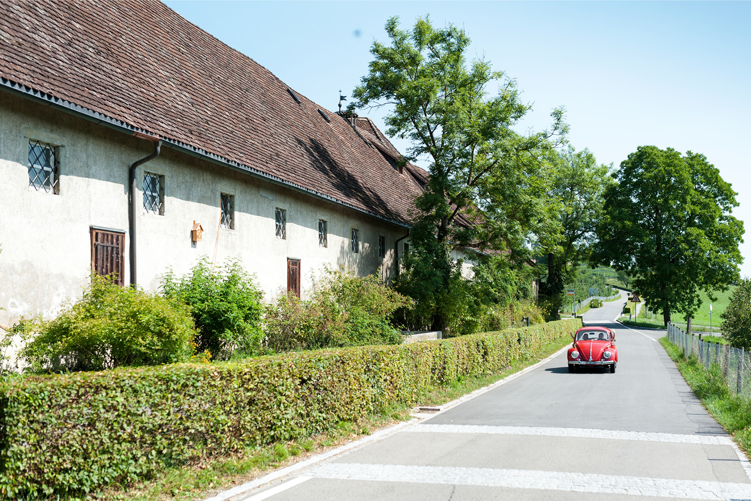 16 Hochzeit Kartause Ittingen.jpg