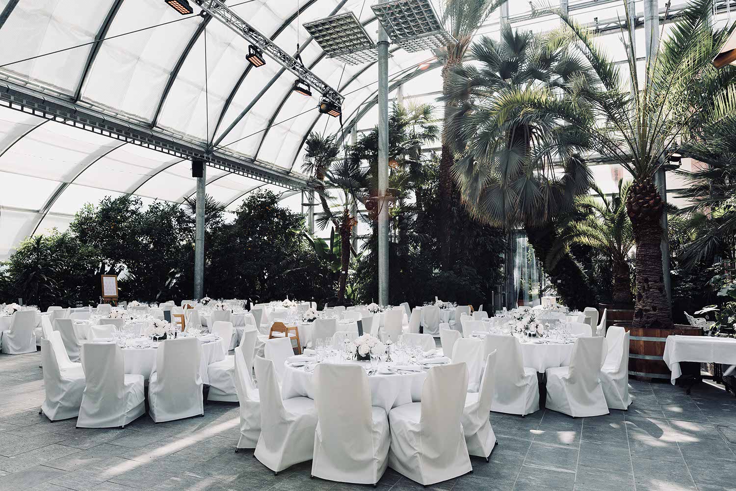 Palmenhaus Mainau heiraten.jpg