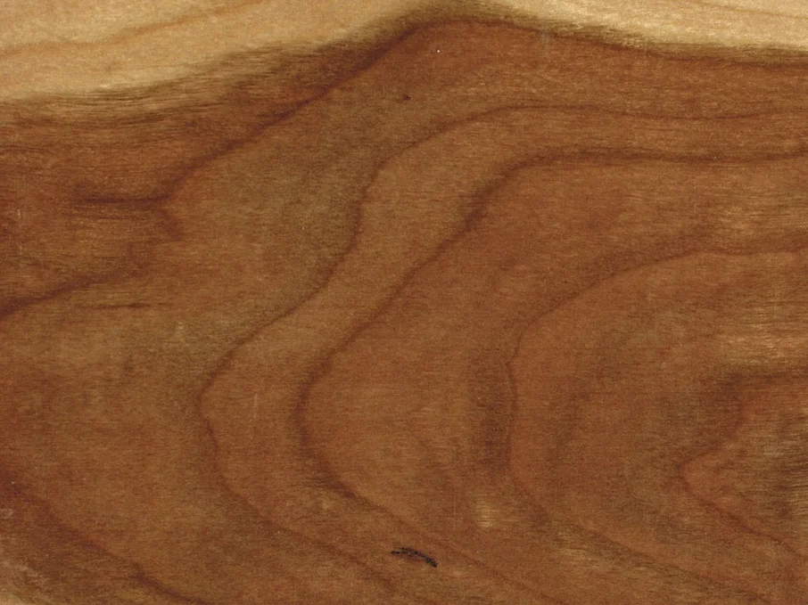 American Cherry