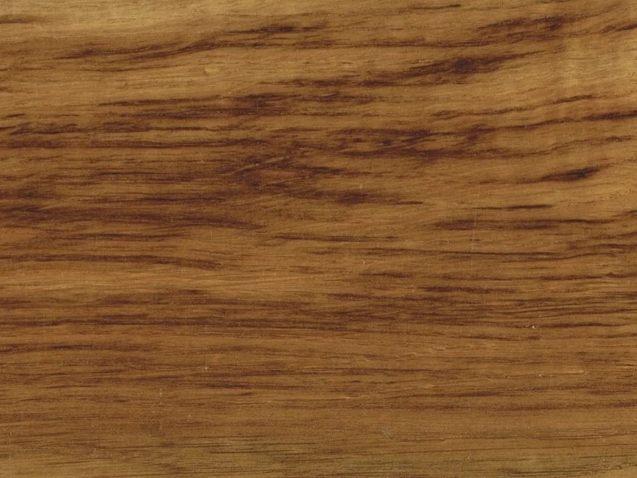 Tiger Oak.jpg