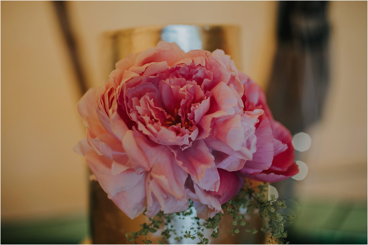 ed-brown-photography_1142.jpg